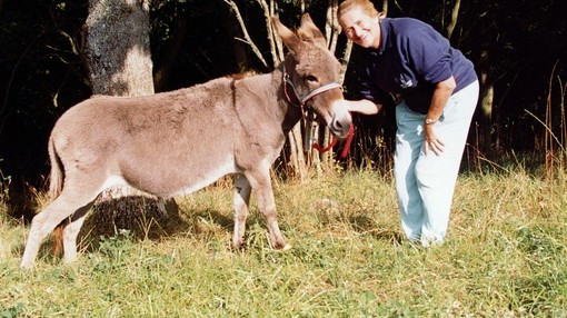 The Donkey Sanctuary Founder, Dr Svendsen with her first donkey Naughty Face
