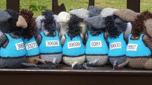 An image of seven knitted donkeys facing away from the camera wearing blue vests with white number tags.