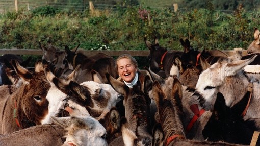Dr Elisabeth Svendsen surround by a herd of donkeys