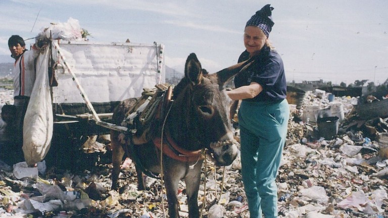 Dr Elisabeth Svendsen stroking a donkey full a cart in Mexico
