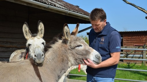 Ben Hart with donkeys Sandy and Lucky