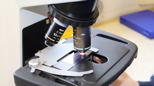 Looking at a slide through a microscope.