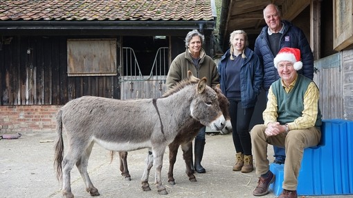 Four people stood and sat in a stable with two miniature donkeys