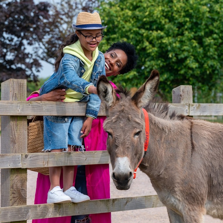 An image of a mum holding her son whilst he stands on a wooden fence and strokes a donkeys head.