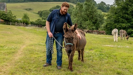 An image of a man stood next to a brown donkey as he touches the donkey whilst smiling down at her.