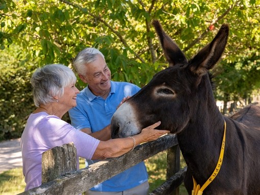 Two elderly visitors stroking a brown donkey