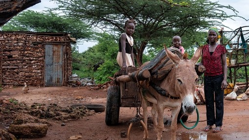 An image of a donkey pulling a cart with the female owner stood to their right and two children stood on the cart.