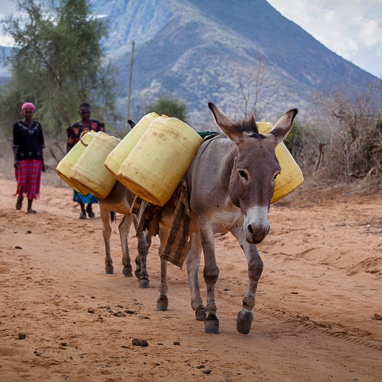 A donkey walking along a dirt track carrying water in two yellow barrels. Two women walk behind.