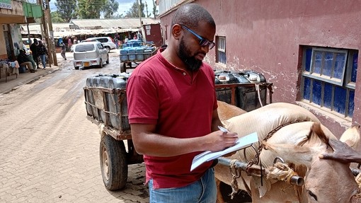 An image of a man writing on a piece of paper stood next to a working donkeys with a cart attached to its harness.