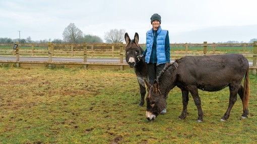 A women wearing a blue gillet stood between two large brown donkeys in a field.