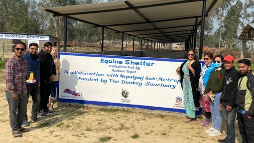 Equine shelter funded by The Donkey Sanctuary in Nepalgunj, Nepal.