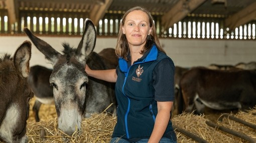 An image of a women stood in front of troughs filled with straw as a group of donkeys eat from them.