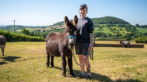 An image of a women standing next to a brown donkey wearing a blue head collar in a large outdoor field with green fields in the background.