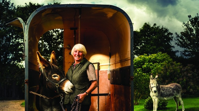 An image of a older women stood in a horse box next to a brown donkey while a grey donkey stand outside the horse box.