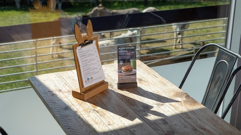 An image of a wooden table with with metal seats next to a large glass window which looks out over a field with donkeys.