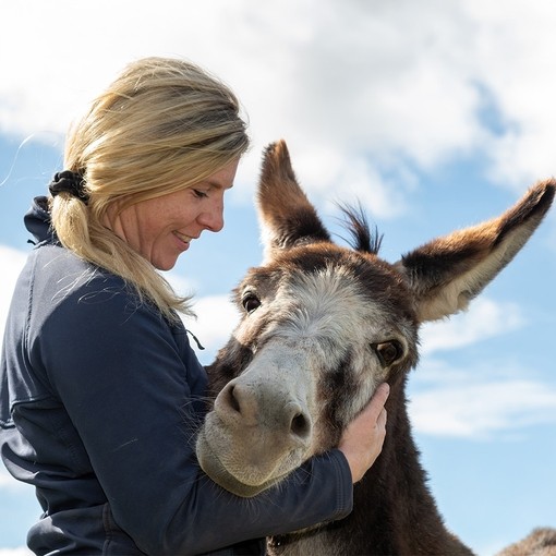 A close up image of a women smiling and gently holding a donkeys face as they look toward camera.