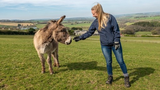 An image of a blonde women stood to the right of a grey donkey, offering out her right hand to the donkeys face. 