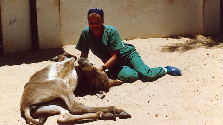 Dr Elisabeth Svendsen sat with a donkey lying on its back