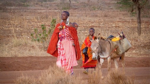 A Masaai woman walks with her children and their donkey
