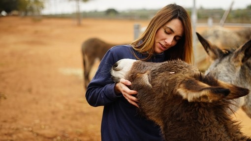 A women with brown hair wearing a blue jumper hugging a dark brown donkey as it rests its head on her shoulder.