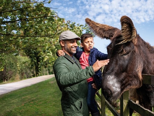 An image of a father holding his son as they stroke a dark brown donkey.