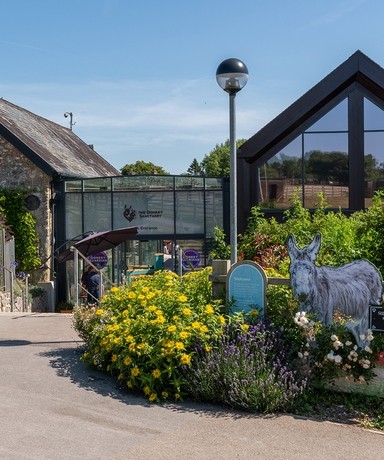 An image of a garden and walkway into a large stone building.