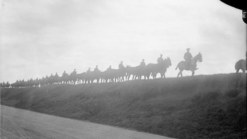 British troops taking mules to water along the Amiens-Albert road in October 1916, silhouetted against the sky.