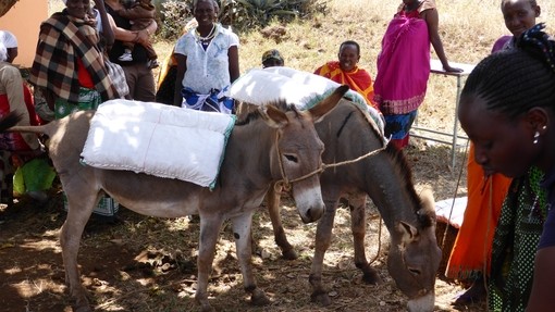 Packsaddle workshop in Tanzania