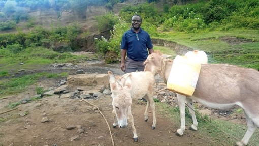 A man stood behind a beige donkey carrying yellow water containers and a small beige foal by a stream.