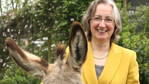 An image of a women wearing a yellow blazer and glasses smiling toward the camera next to the top of a donkeys ears and head.
