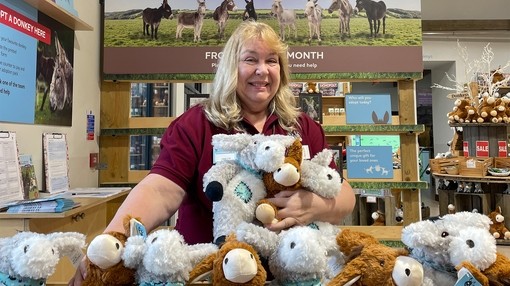An image of a women stood behind a counter filled with soft donkey toys as she smiles at the camera