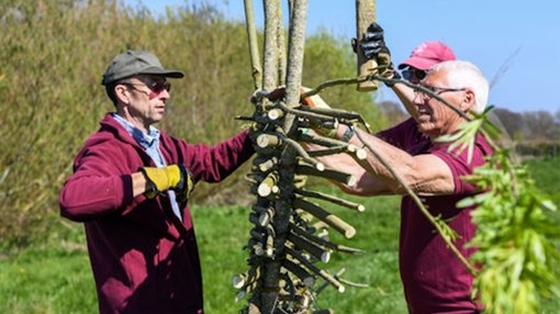 An image of three men wearing burgundy polo tops adding small wood logs to a tall wooden fixture.