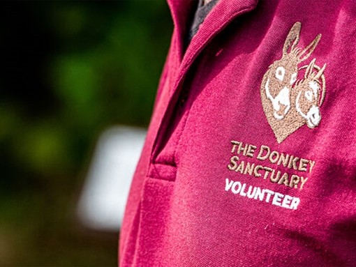 A close-up image of a person wearing a burgundy polo top with The Donkey Sanctuary logo displayed on the front.