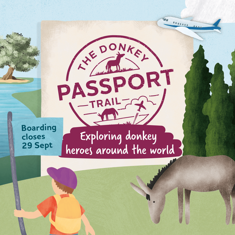 illustrated donkey, boy and airplane holding a flag surrounded by donkey trail logo
