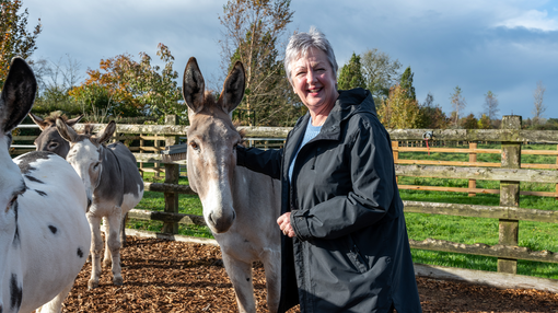 An image of a women stood in an outdoor paddock with a light grey donkey.