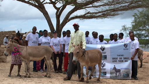 World animal day celebrations, organised by TDS Kenya, held on Manda Island, Lamu.